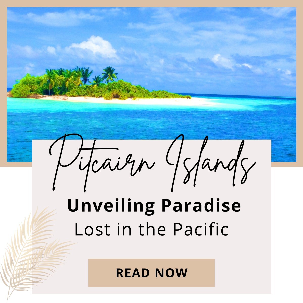 Hidden Gem of the Pacific - Nesian Kulture