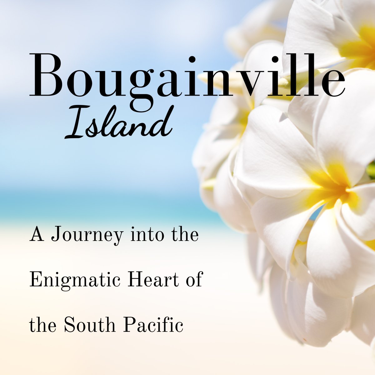 Unveiling Bougainville: A Journey into the Enigmatic Heart of the South Pacific - Nesian Kulture