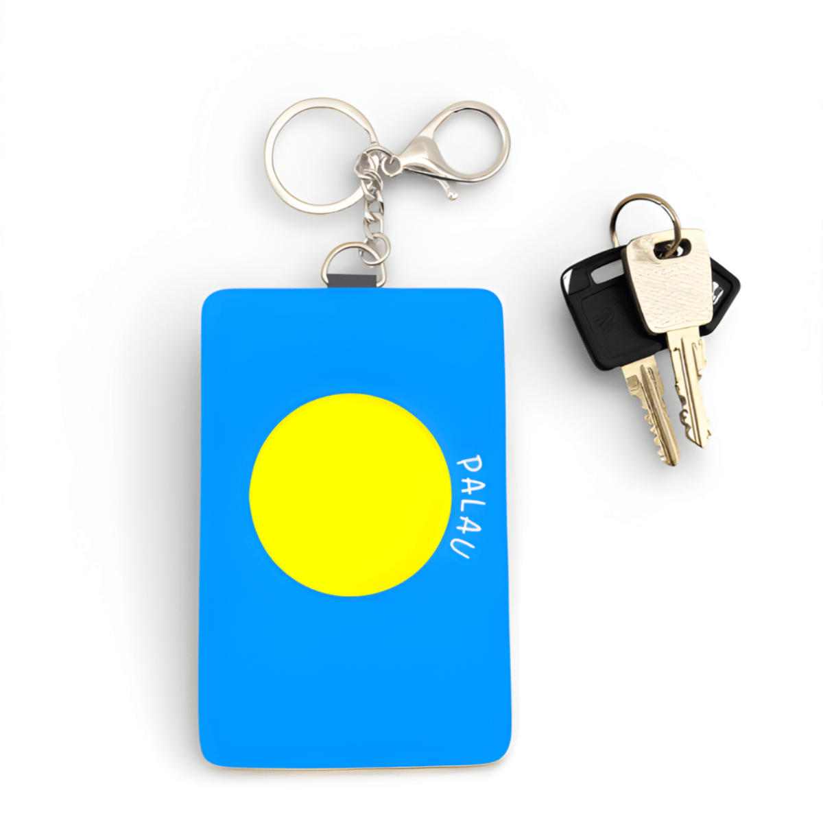 Cardholder Keychain – Micronesian Flag Edition - Nesian Kulture