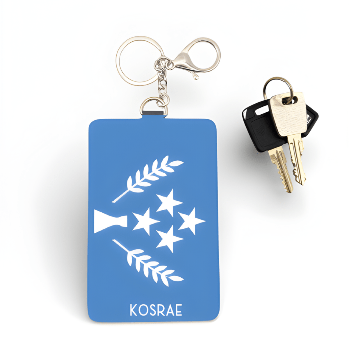 Cardholder Keychain – Micronesian Flag Edition - Nesian Kulture