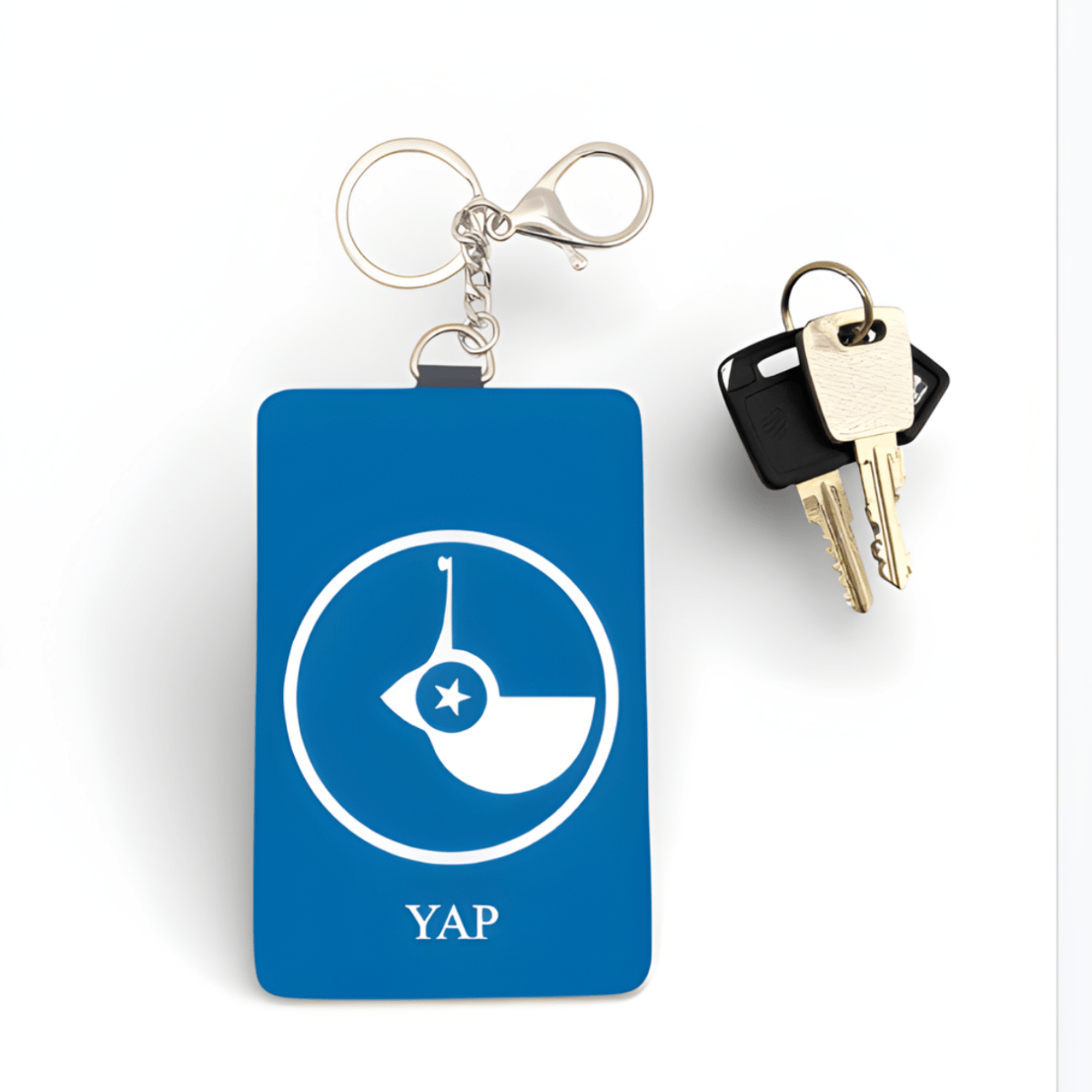 Cardholder Keychain – Micronesian Flag Edition - Nesian Kulture